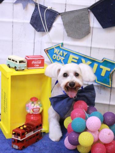 20230418天馬利ちゃん